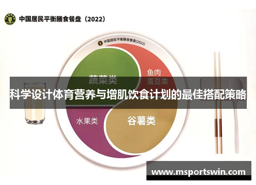 科学设计体育营养与增肌饮食计划的最佳搭配策略